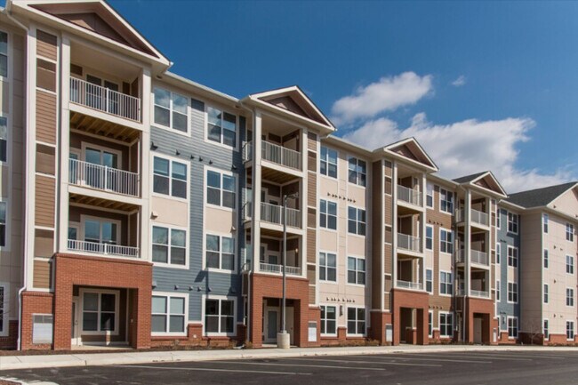 Photo - Palmer's Creek - Phase II