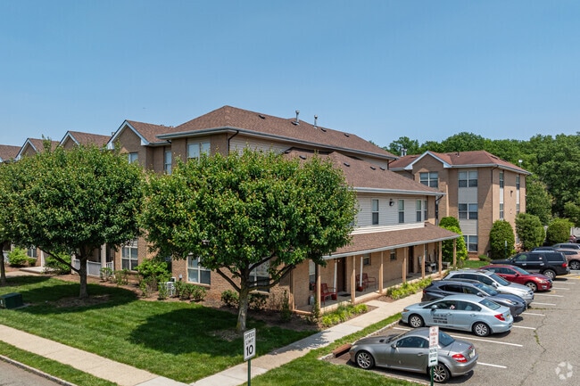 Alternar - Forest View