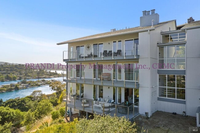 Building Photo - Resort Style Living in Prime Tiburon Locat... Unit 12,