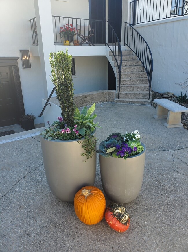 Fabulous - 161 Melrose Ave Unit 161MelroseAve#2