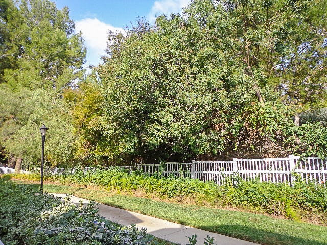 Photo - Beautiful 2 Bed / 2.5 Bath Condo in Fullerton