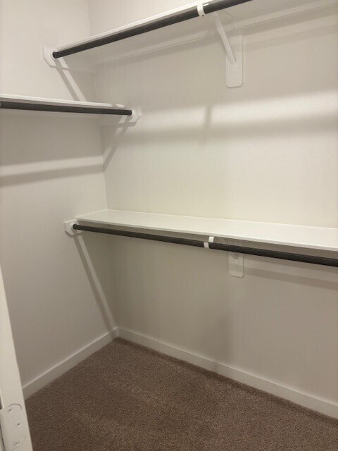 Photo - 3221 Loam Ln