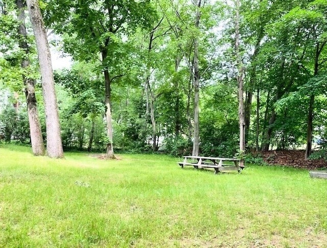 Photo - 7 Harding Rd