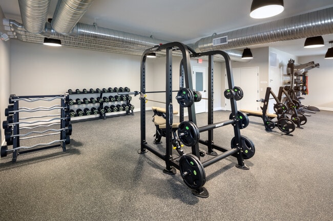 Fitness Center – Free Weights & Squat Racks