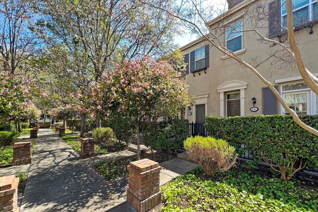 Building Photo - Spacious Tri-Level Home - Great Downtown S...
