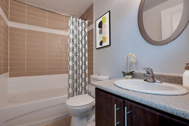 Photo - 383 Albert St