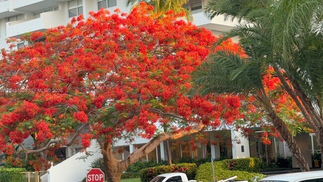 Photo - 199 Ocean Ln Dr Unidad 113