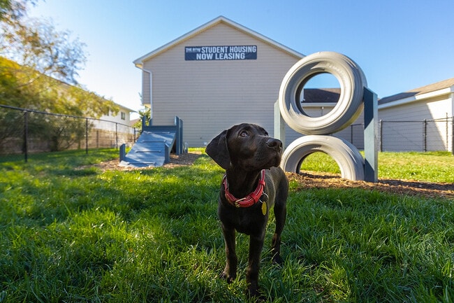The-Row-Apartments-Near-University-of-Missouri-Off-Leash-Dog-Park-Agility-Obstacles - The Row