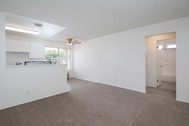 Photo - Palm Estates Apartments