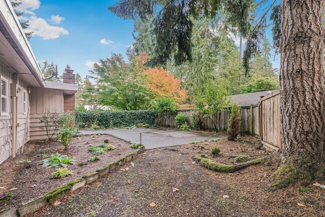 Photo - Fully Renovated & Very | Huge Yard | New HVAC | Lease w/ Option to Buy