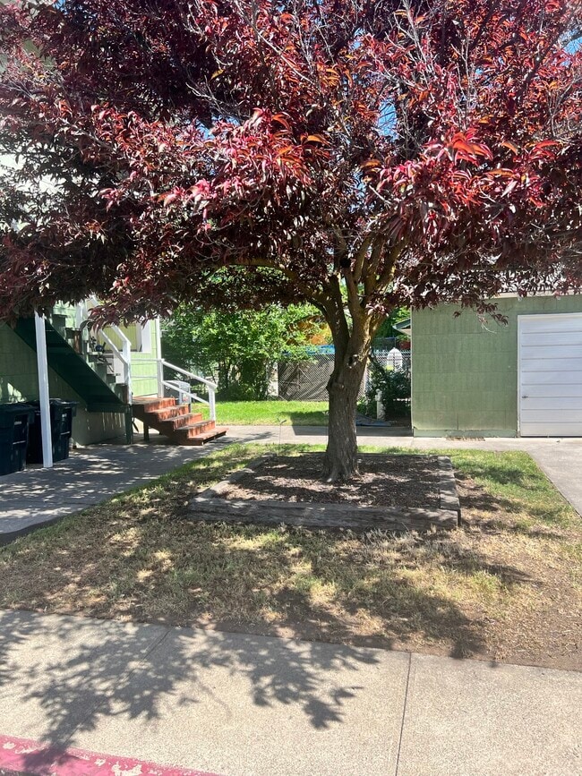 Back Yard - 404 N Main St Unit A