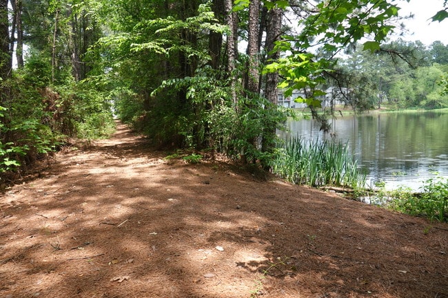 Pine Highland Trail by the Lake