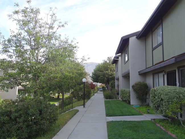 Front alley