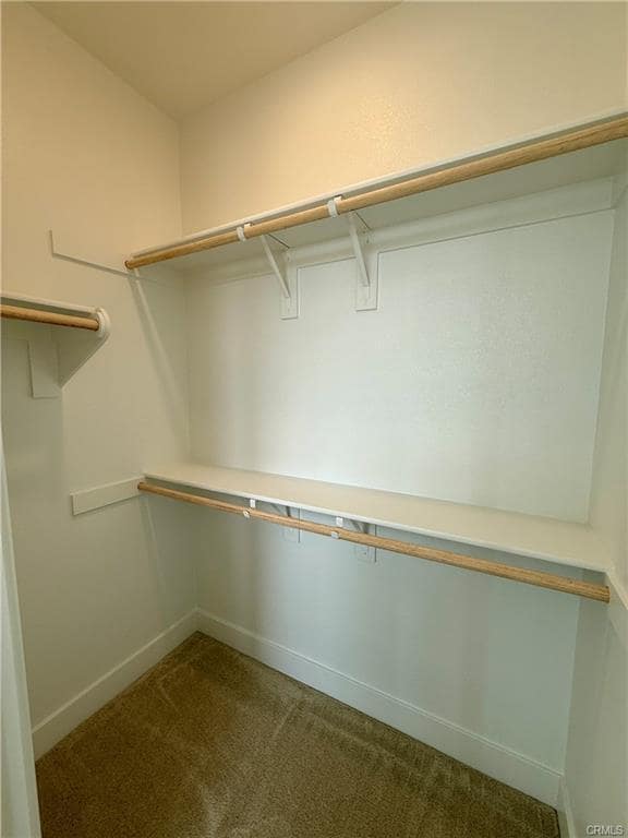 Photo - 471 Flycatcher