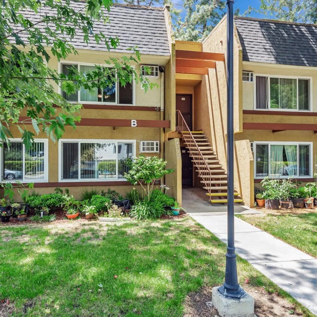 Photo - San Jose Gardens