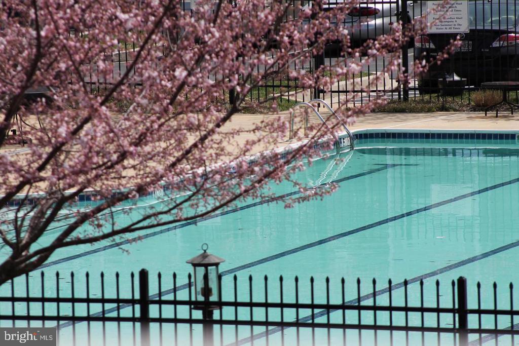 Photo - 7410 Chadwell Cir Unit 204