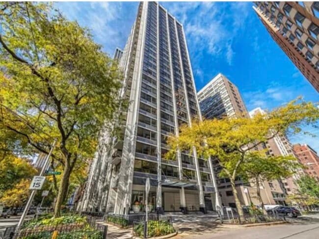 Building Photo - 222 E Pearson St Unit 2003