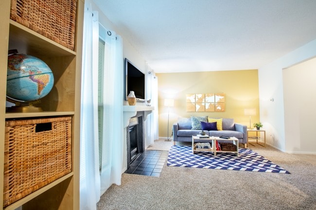 Photo - TGM Autumn Woods