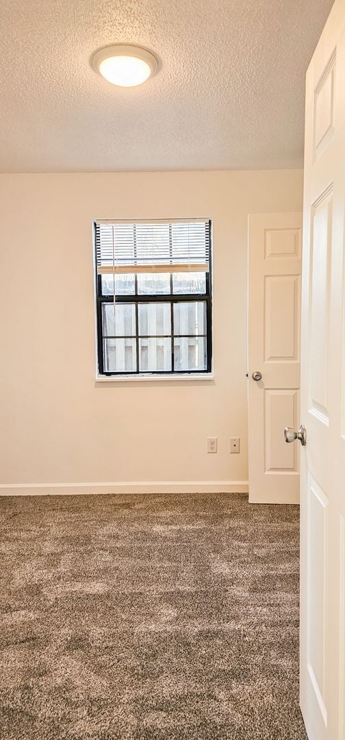 Photo - Beautifully updated 4 Bedroom/2 Bathroom downstairs apartment Unit 1542 E