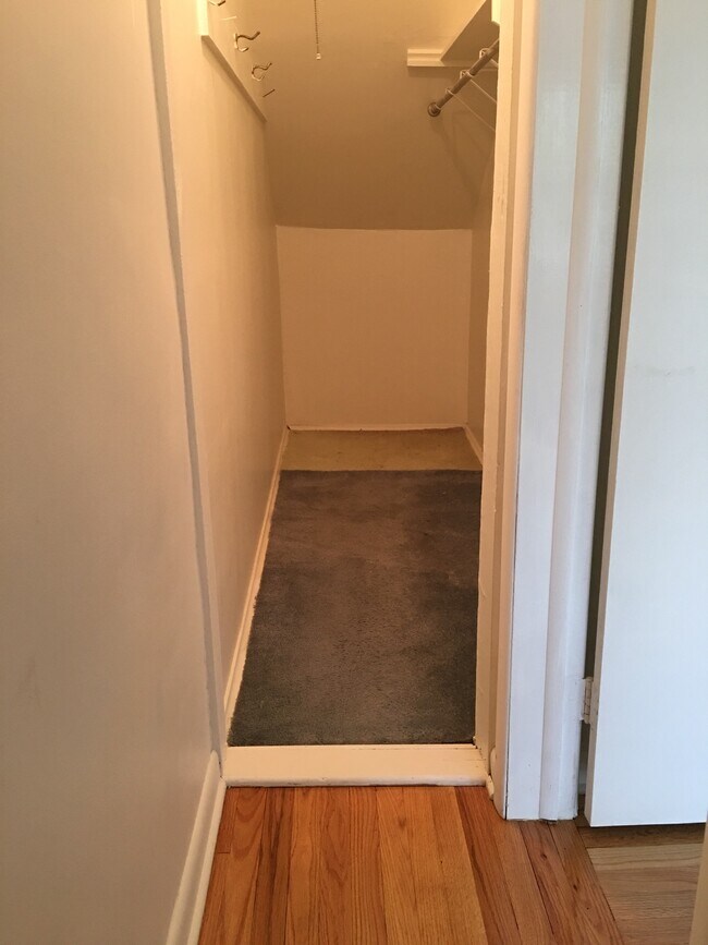 Walk-in closet in bedroom #2