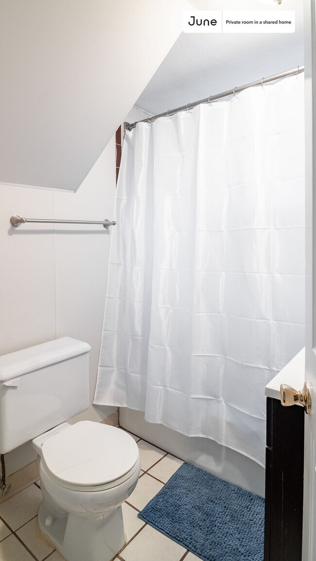 Photo - Room in Shared 3 bed/1 bath home Unidad C