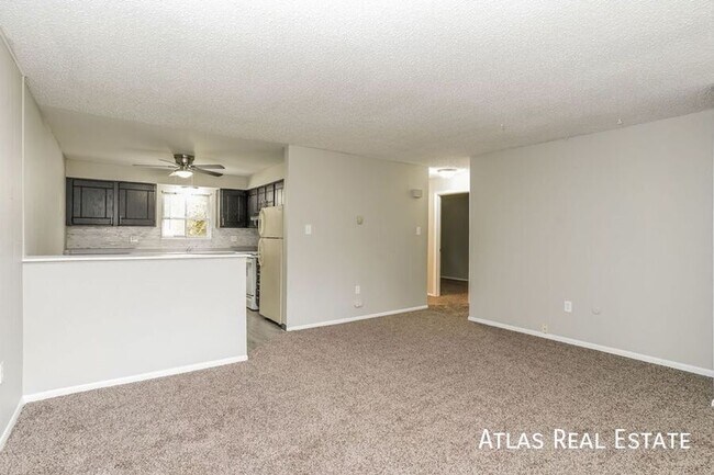 2bed 1bath on the West side of Colorado Sp... - 2bed 1bath on the West side of Colorado Sp... Apartment Unit 1B