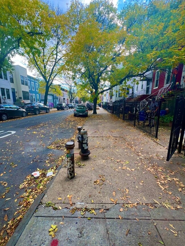 Photo - 203 Moffat St