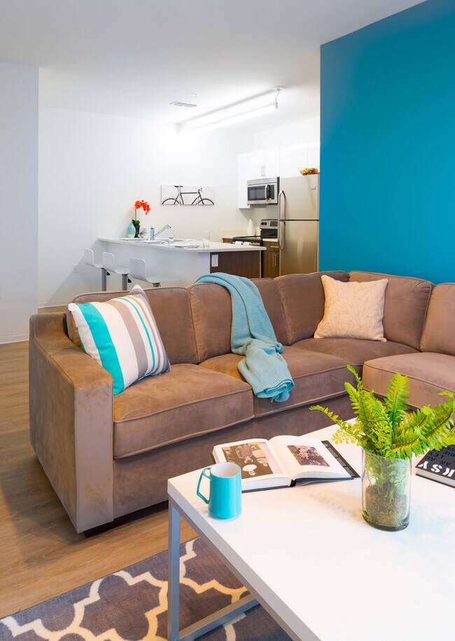 Slate at 901 Apartments Knoxville, TN