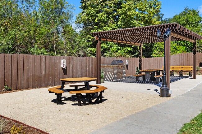 Picnic Area