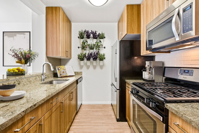 Photo - The Village at Bronxville