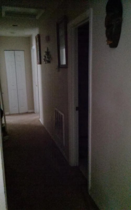 Photo - 7247 Pinedale Dr