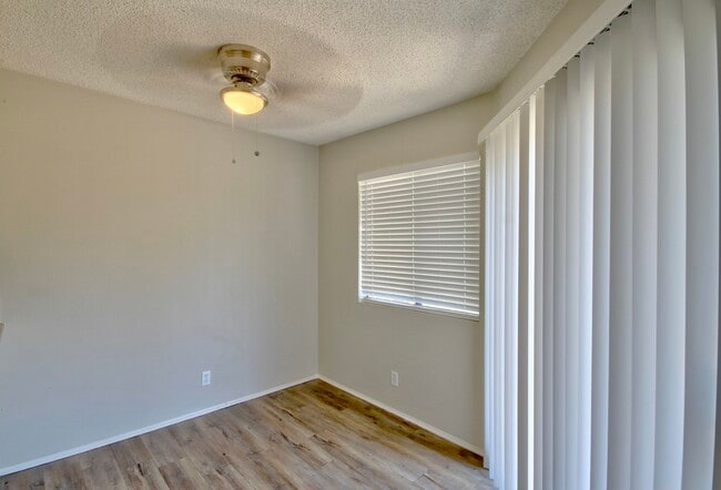 Photo - Princess Palms