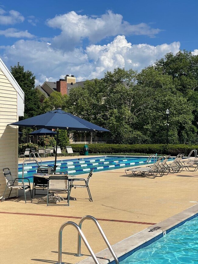 Photo - Burton Hills/ Green Hills