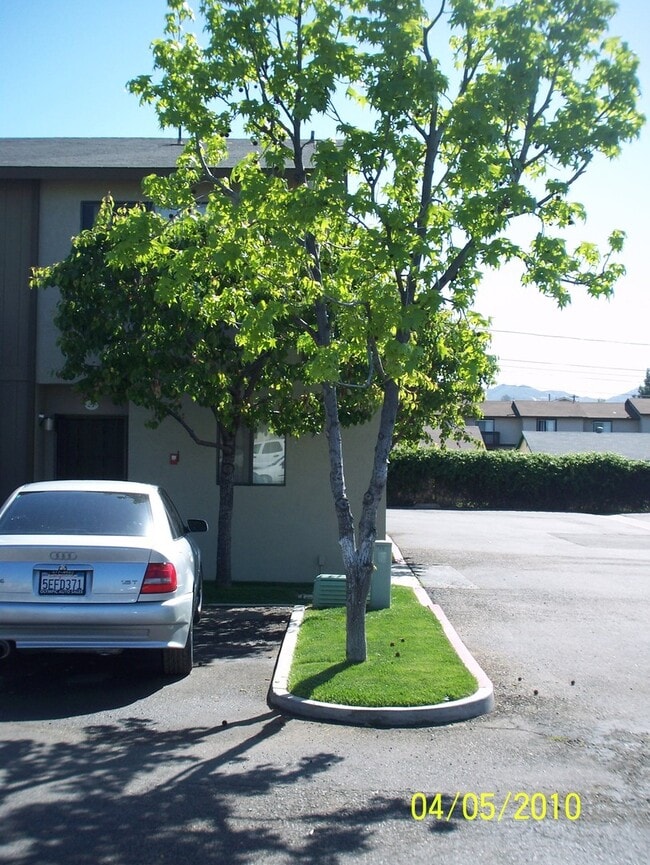 Photo - Oro Park Apartments