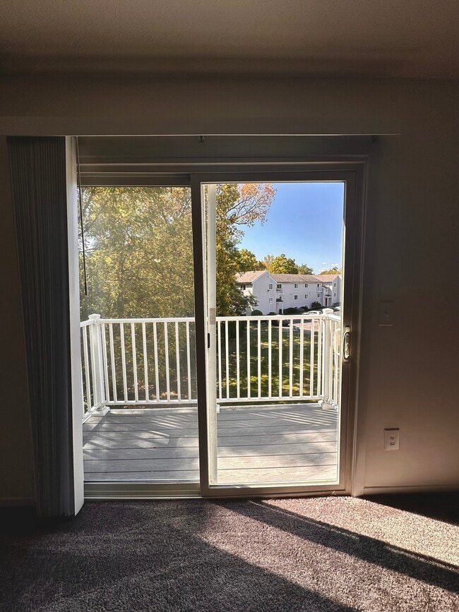 Photo - Timber Trails