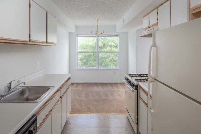 Interior - Village Commons