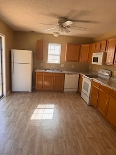 Photo - 219 Pineclave Cir