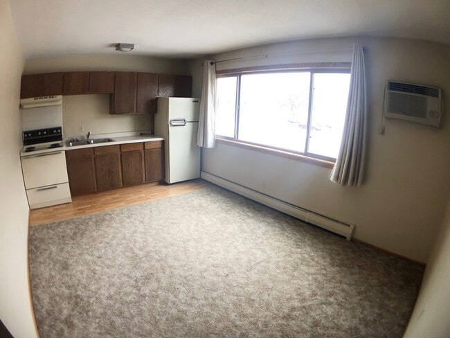 Studio (unfurnished view)