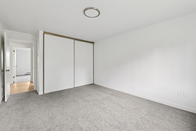 Photo - Shannon South