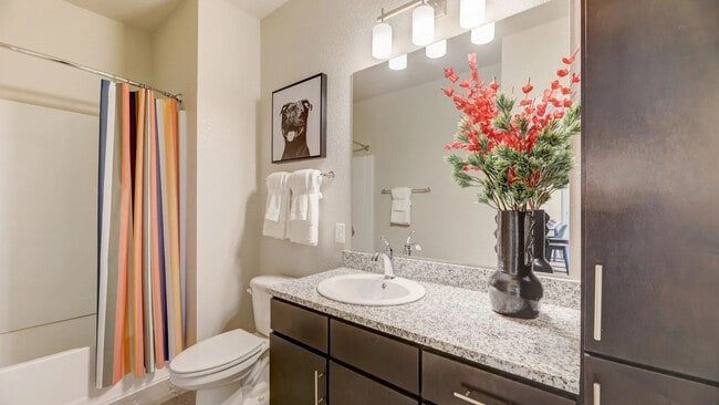 Photo - Springs at Stadium Village