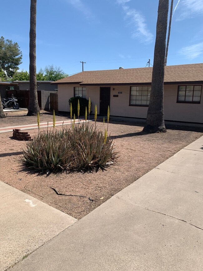 Photo - WALK TO - ASU AREA — Remodeled 5 Bedroom 3 bath Home with Pool - Next to Light Rail stop.