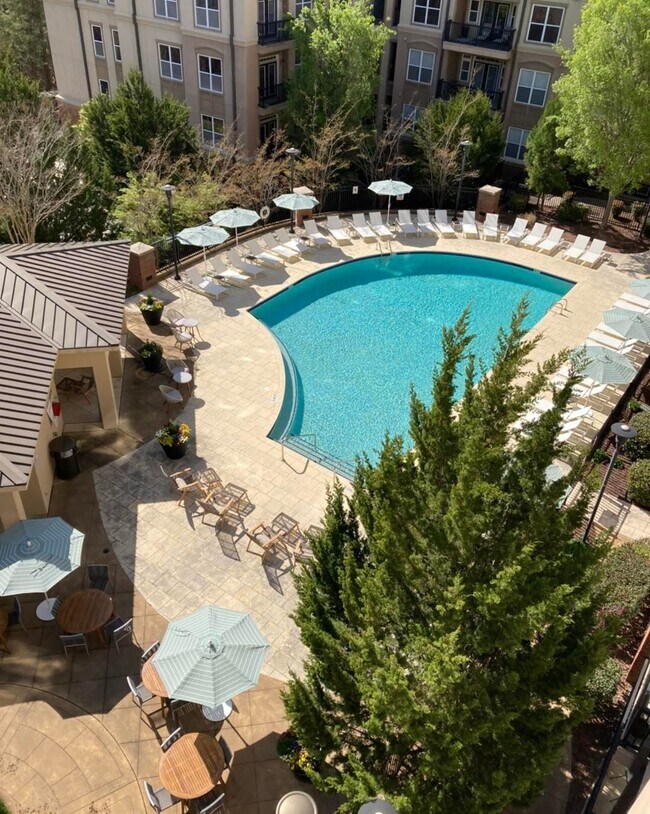 Resort Style Saltwater Pool - Apartments at The Arboretum