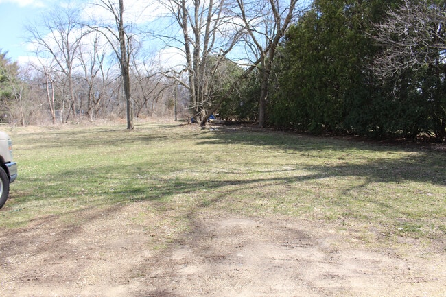 Backyard - 180 Martin St