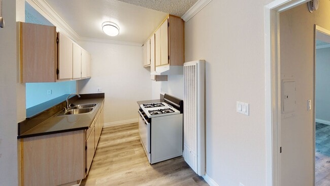 Photo - CPA - Casa Patrina