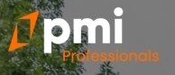 Pmi Professionals