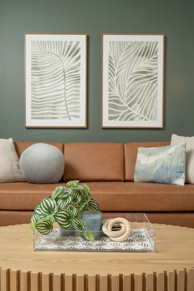 Photo - Streamliner Aldea