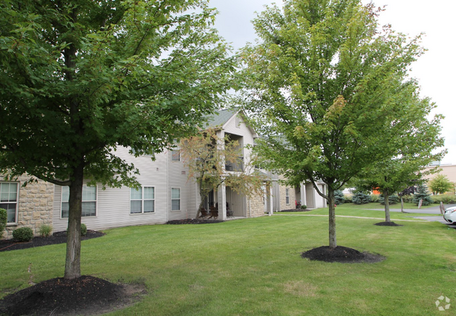 Rentals In 14221, Buffalo, Ny | Forrent.Com