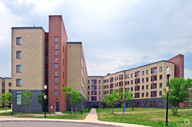 Photo - Dolphin Cove