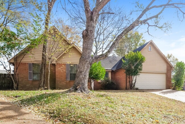 Photo - 8139 Creek Way Cove