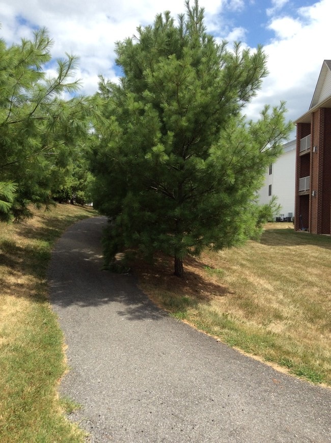 Walking Trail